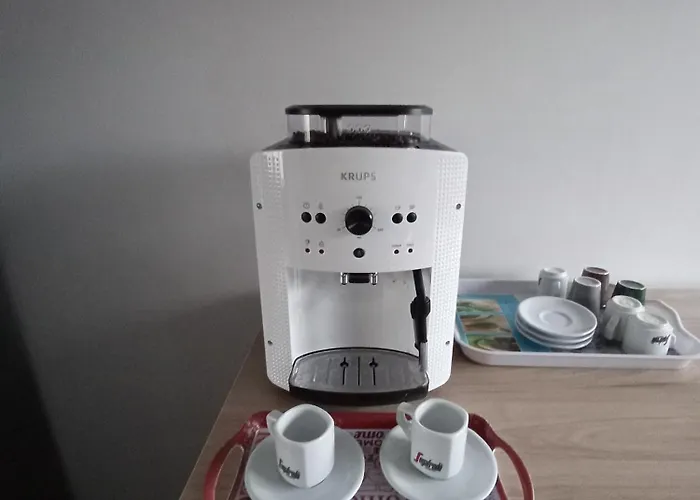 Chez Jean-claude, Vue Panoramique Au Reveil